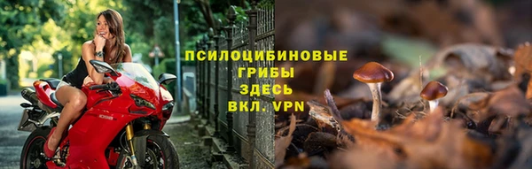 сатива Абаза