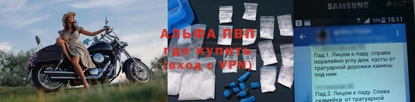 сатива Абаза