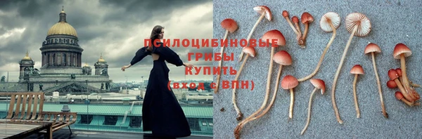 сатива Абаза