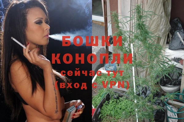 сатива Абаза