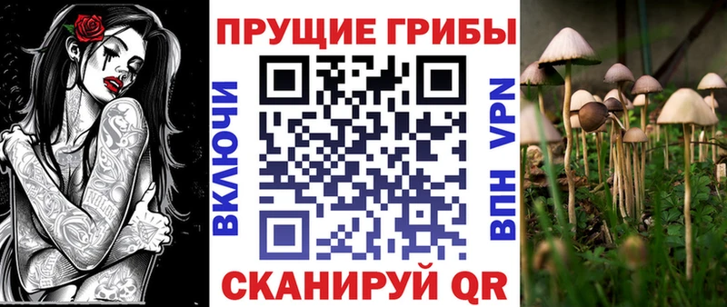 Псилоцибиновые грибы ЛСД  kraken tor  Бирюсинск  купить закладку 